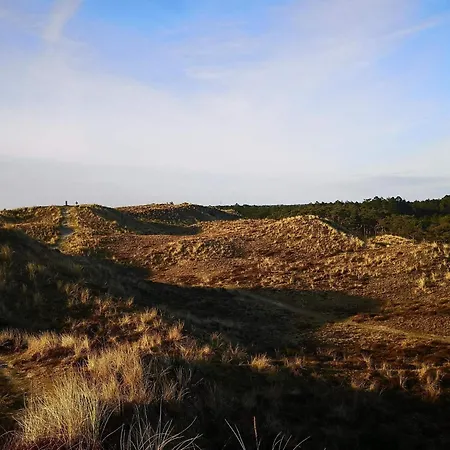 Holiday home Luxury Pool Retreat In - By Traum *