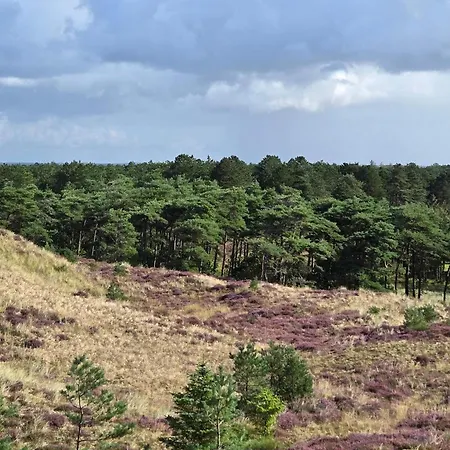 Luxury Pool Retreat In - By Traum