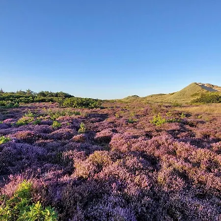 Luxury Pool Retreat In - By Traum Holiday home *